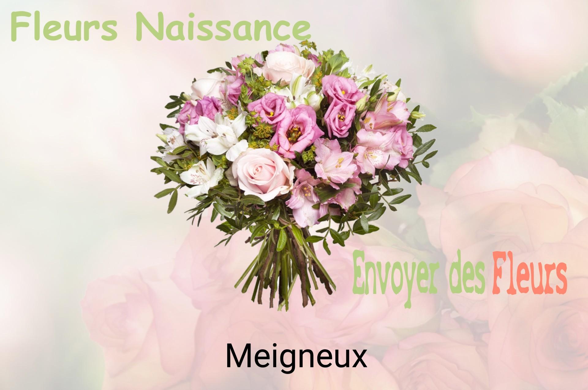 Bouquet de fleurs de naissance livré à Meigneux