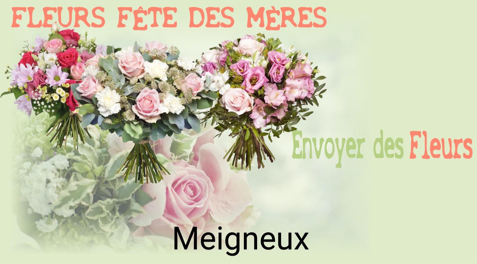 Bouquet de Fête des Mères livré à Meigneux
